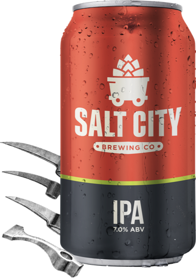 Salt City Brewing Co. IPA