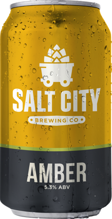 Salt City Brewing Co. Amber Ale